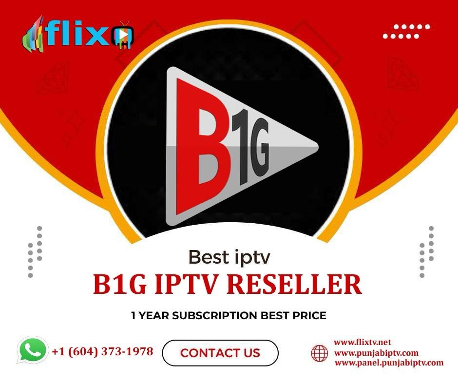 b1g iptv