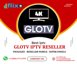 glo tv panel